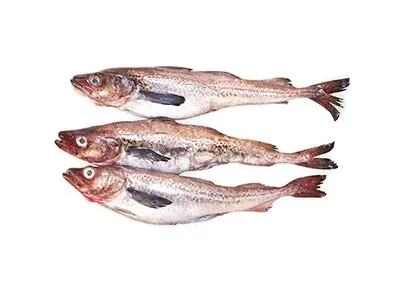 A-명태 (10KG * 1Box)